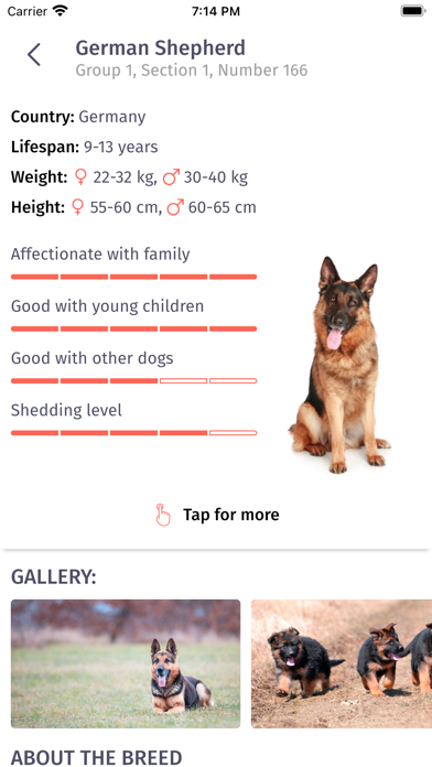 Paws: Dog & Puppy Breeds Screenshot
