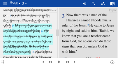 Tibetan English Screenshot