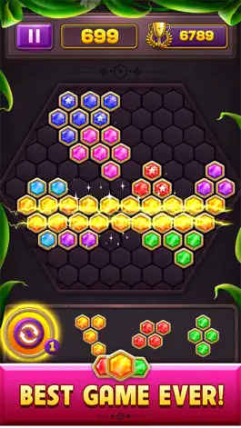 Game screenshot Hexa Block Puzzle Star Gem hack