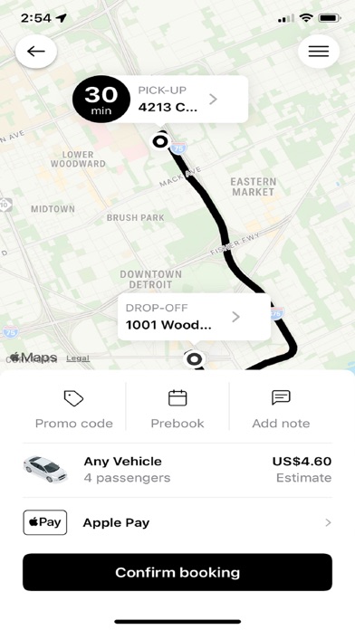 Metro Cab Detroit. Screenshot