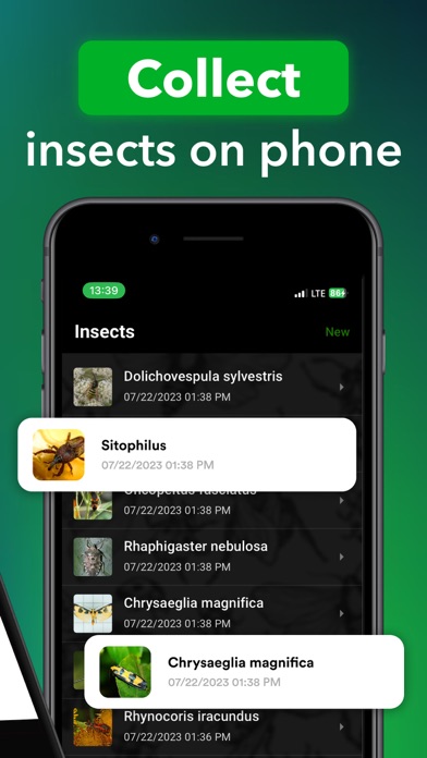 Screenshot #2 pour Insect identifier: Bug, Spider