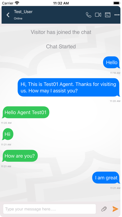 REVE Chat Screenshot