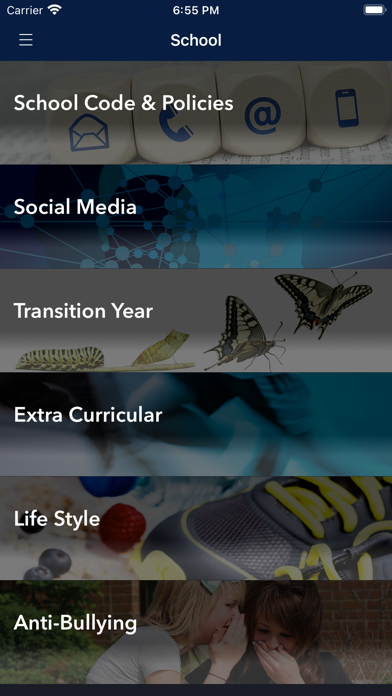 St Francis College Screenshot