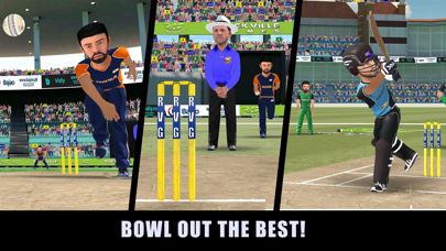 RVG Cricket Game: Cricket Lite Screenshot