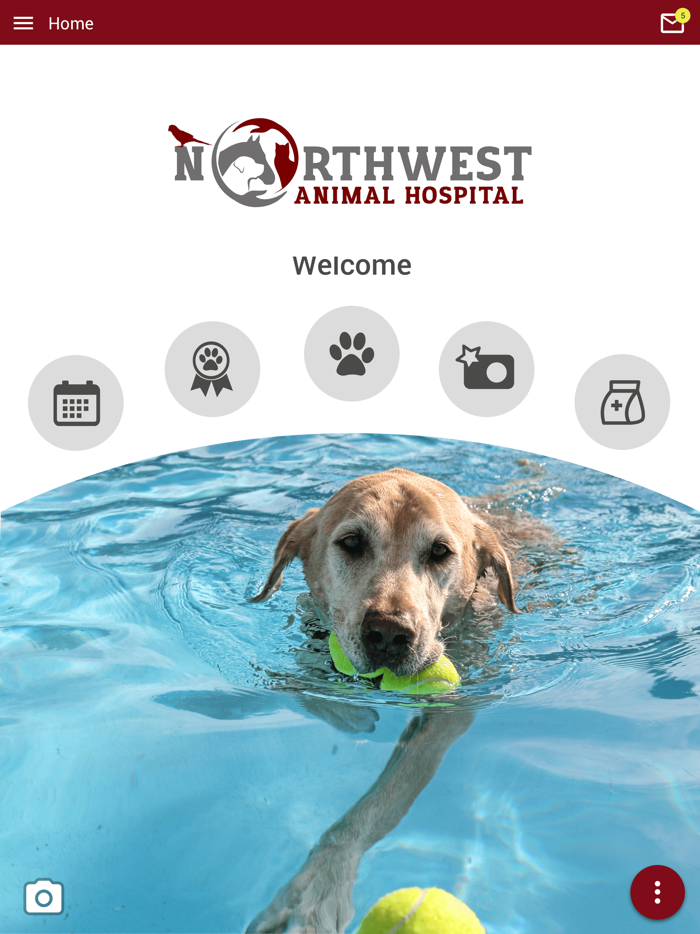 Northwest Animal Hospital