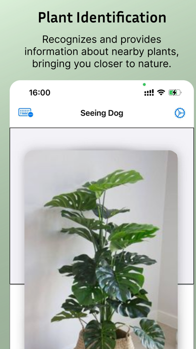 Seeing Dogs Screenshot