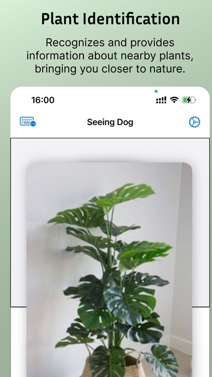 Seeing Dogs screenshot-4