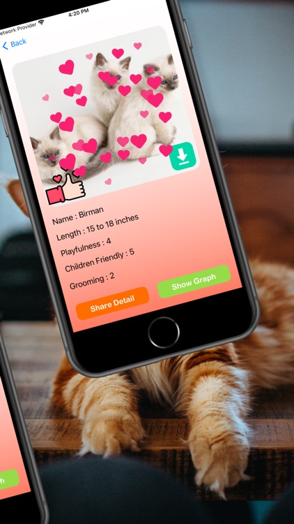 CattitudeClues screenshot-5