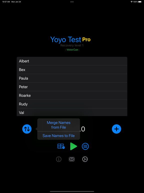 Yoyo Test Pro screenshot 2
