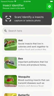 bug identifier - insect finder problems & solutions and troubleshooting guide - 3