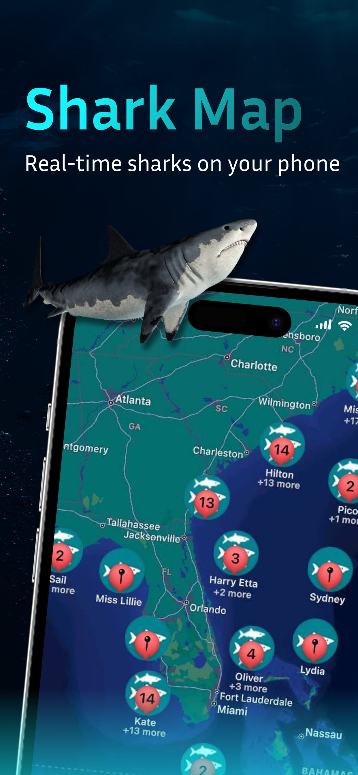 Shark Tracker: Shark Finder