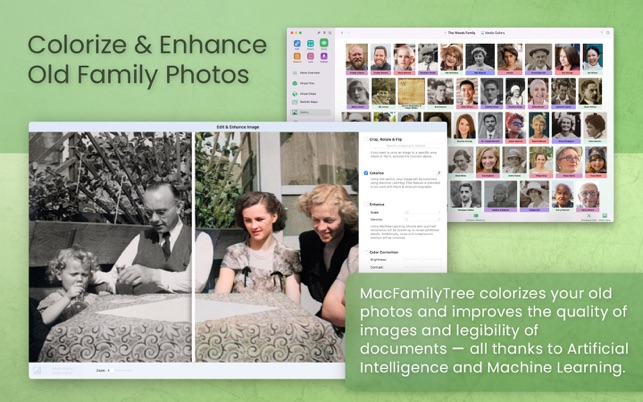 ‎MacFamilyTree 10 Screenshot