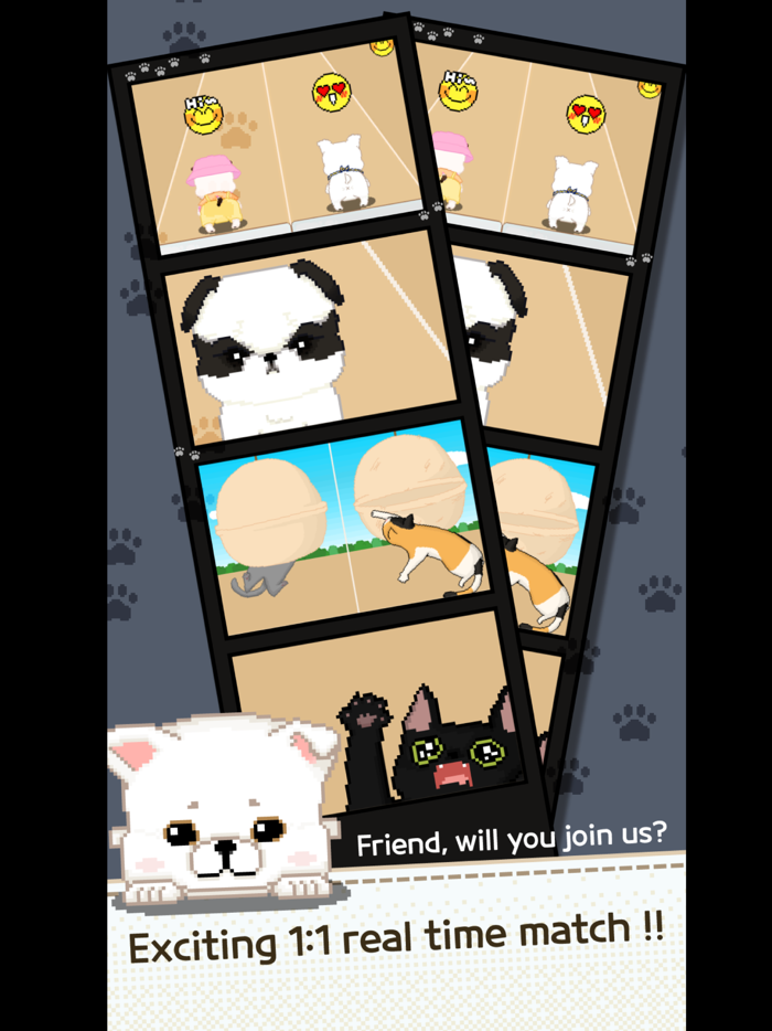 Be My Family - Dog Cat