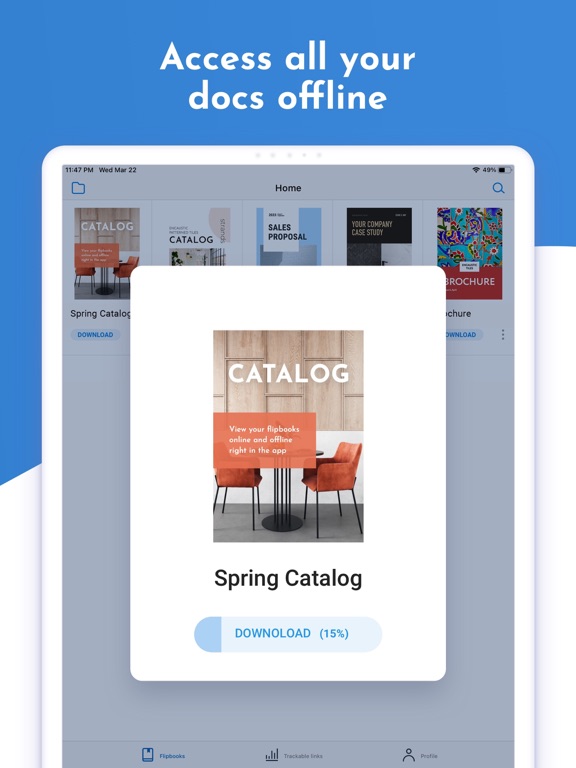 FlippingBook iPad screenshot 2 - Business app