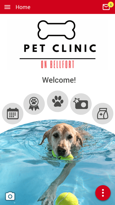 Pet Clinic on Bellfort Screenshot