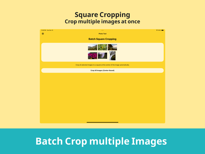 Album Utility Mass Delete Tool