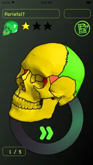 skull bones easy anatomy iphone screenshot 4