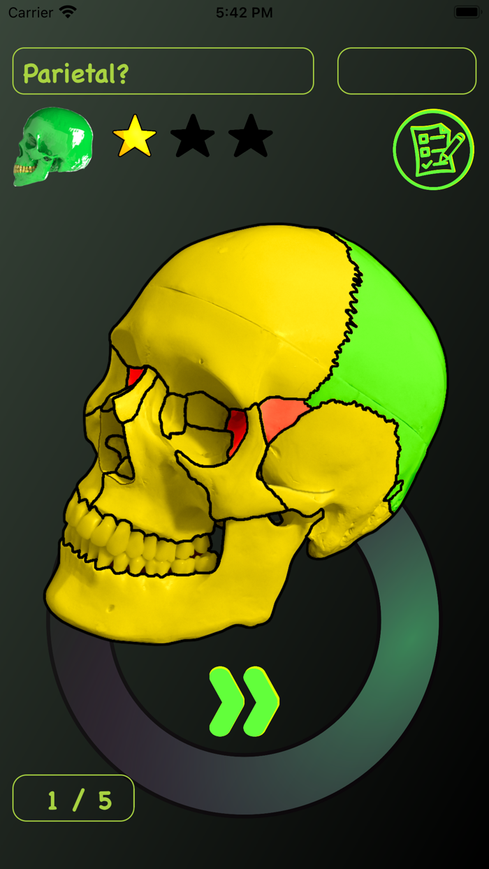 Skull Bones Easy Anatomy