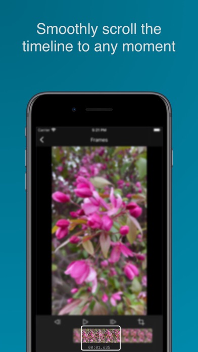 Grab Frame - Video to Photo Screenshot