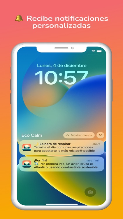 Eco Calm screenshot-3