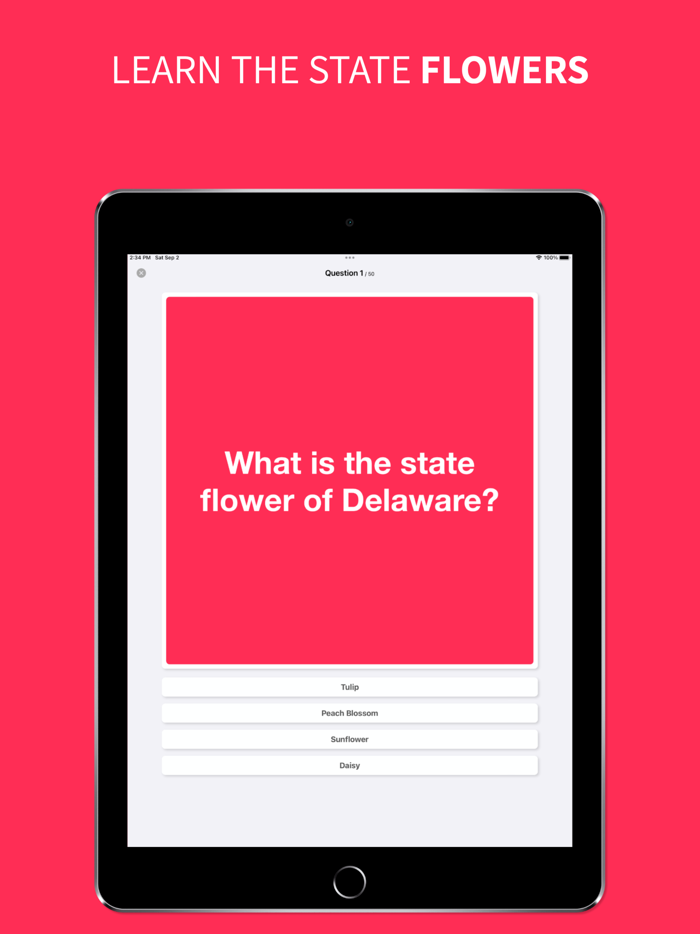 States - Flashcards and Quiz