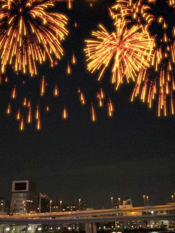 Immersive Oedo Kawaasobi