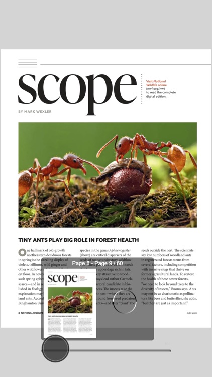 National Wildlife screenshot-3