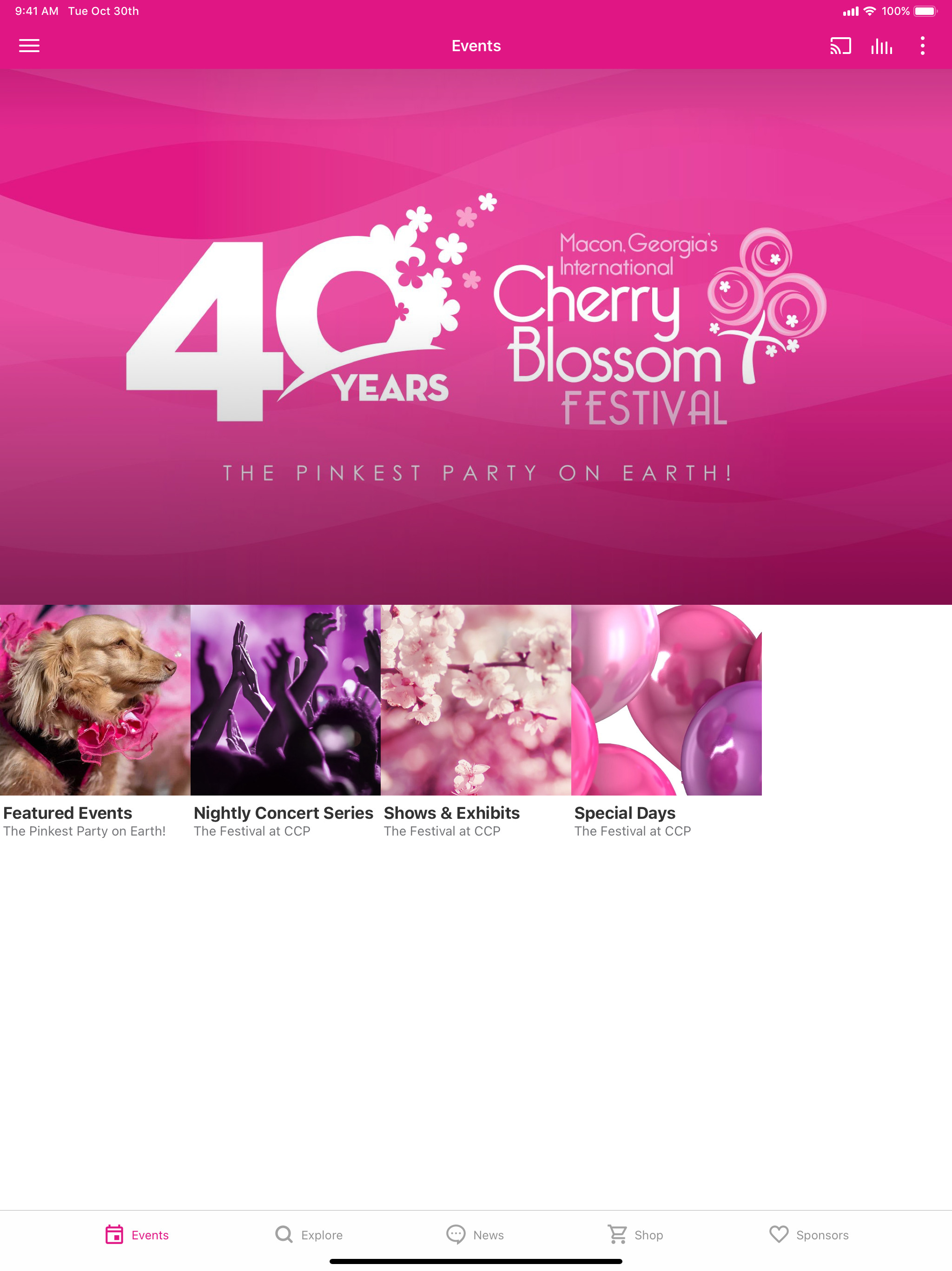 Cherry Blossom Festival screenshot 4
