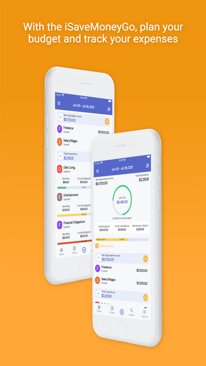 iSaveMoneyGo Budget spending