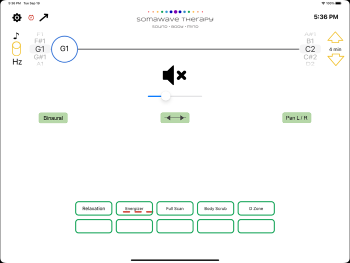 SomaWave Sound Therapy