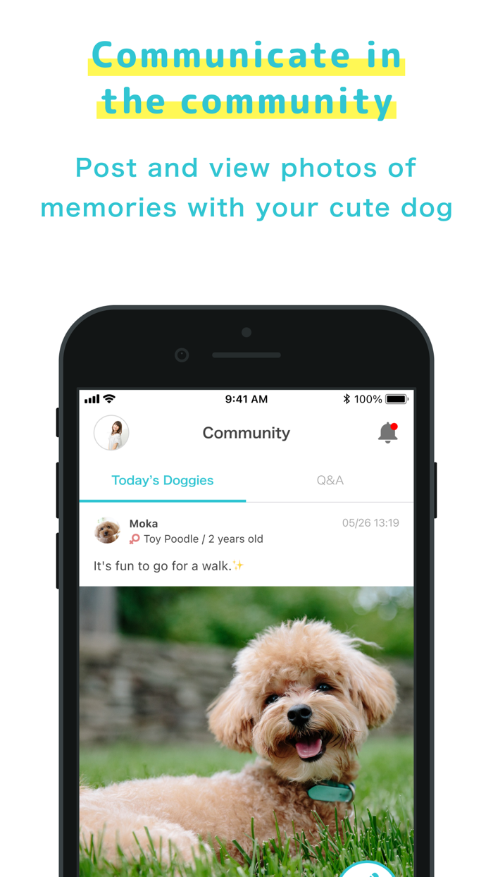 onedog - Dog health management