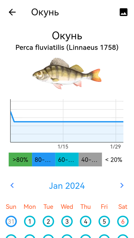 #5. Fish Planet Calendar (iOS) 由: Web and Print