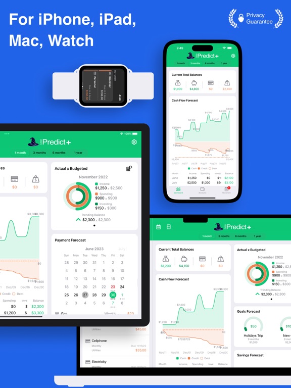 Cash Predict [Budget Forecast] iPad screenshot 2 - Finance app