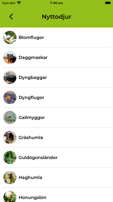 Nyttodjur Screenshot