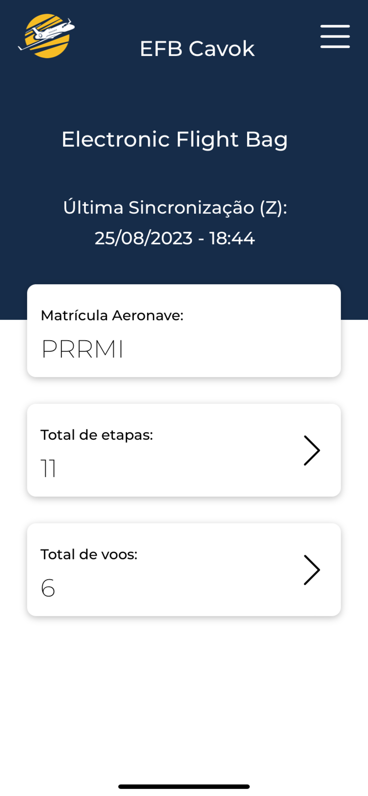 EFB Cavok