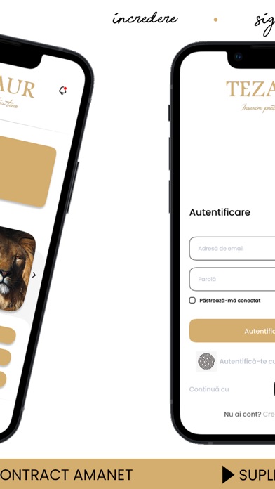 Tezaur Online Screenshot