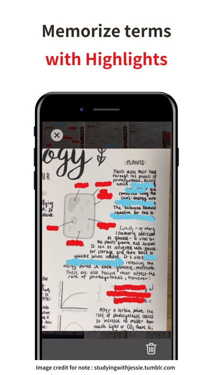 CapNotes by Rin Ohsugi