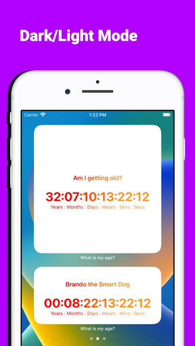 Age Countdown Widgets Screenshot