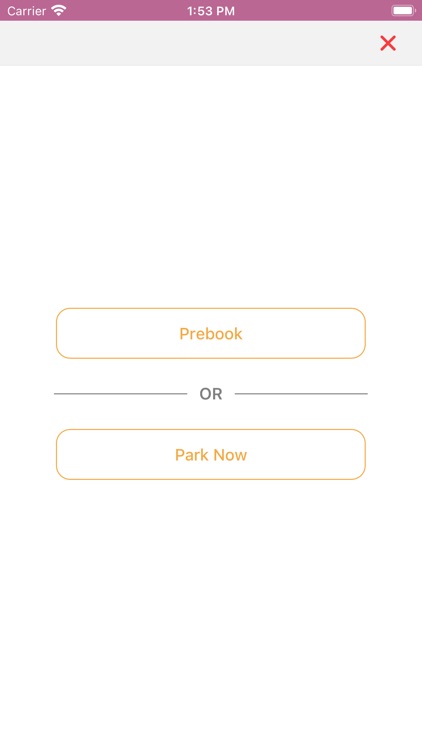 ParkSmart Kiosk screenshot-4