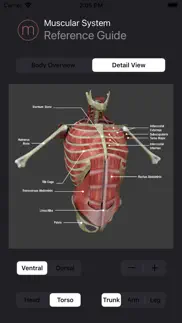 human muscular system guide iphone screenshot 2