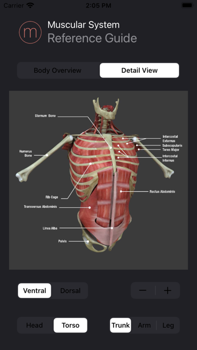 Human Muscular System Guideのおすすめ画像2