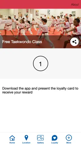 Game screenshot Master P's World Class TKD hack