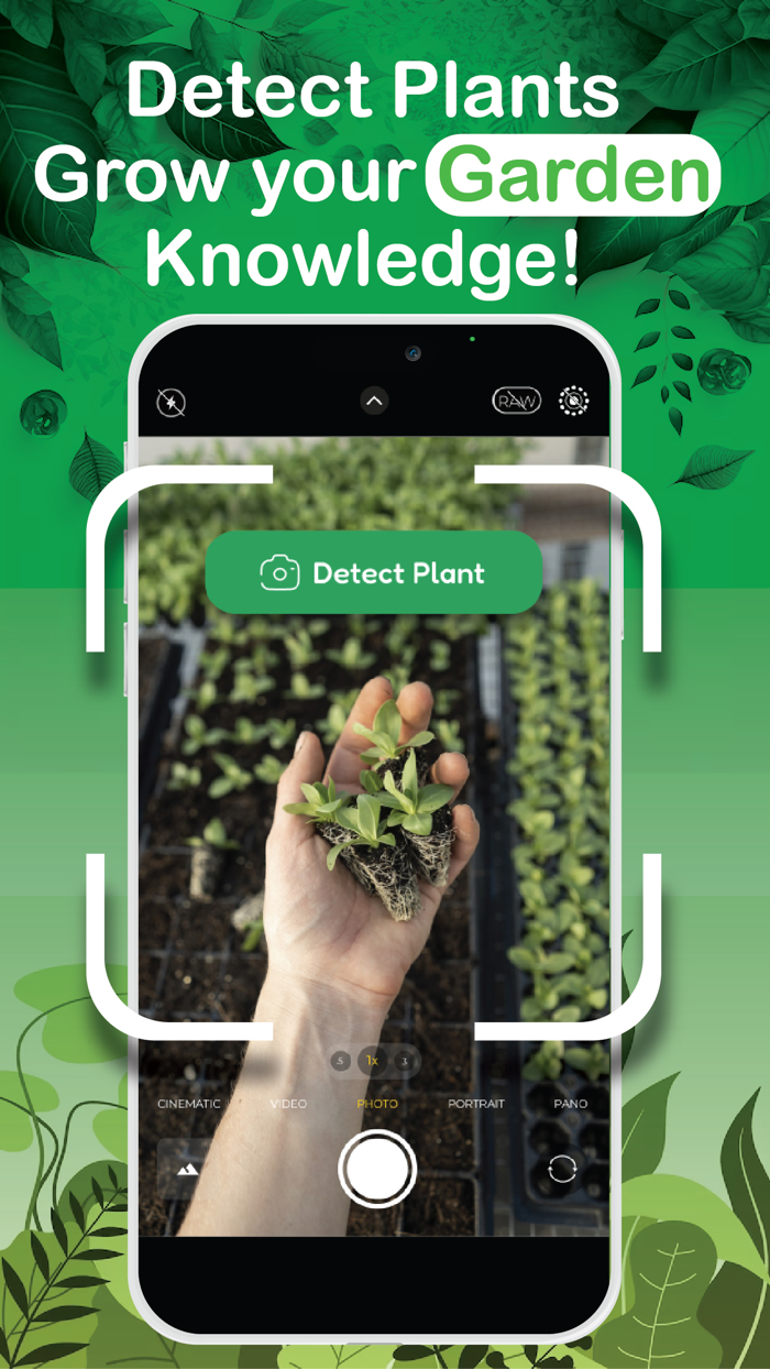 Plant Identifier Detect Leaf