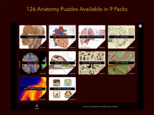 Anatomy Puzzles screenshot #5 for iPad