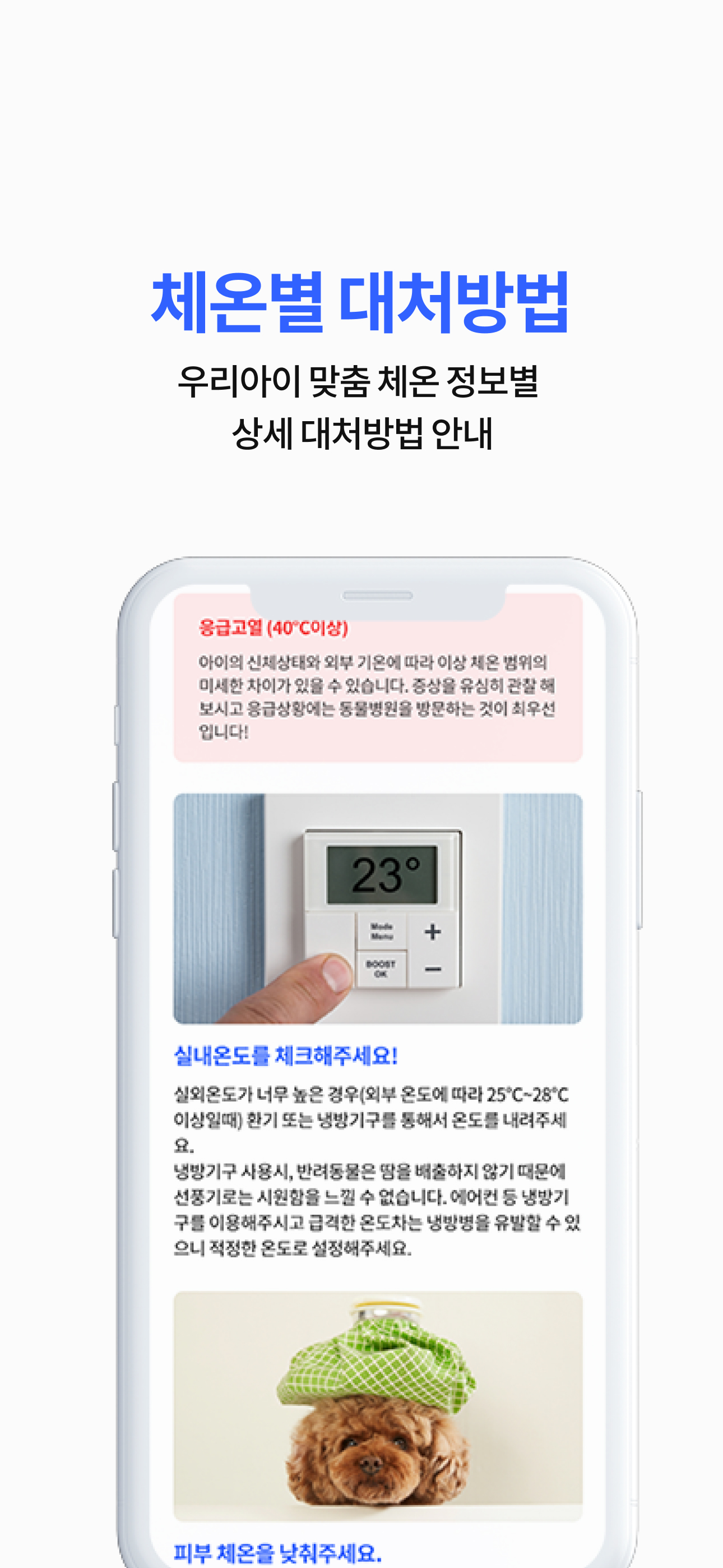 와이펫