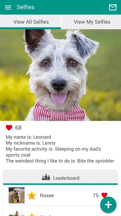 Animal Ark Veterinary Hospital screenshot-3