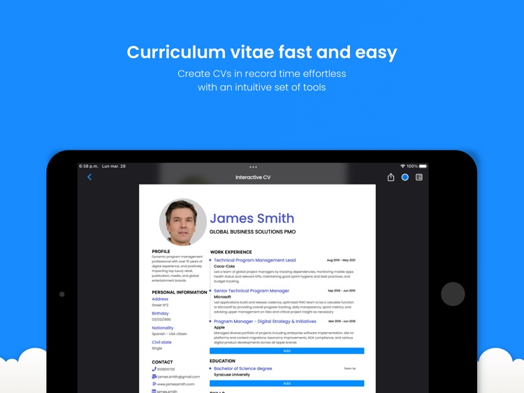 Interactive CV