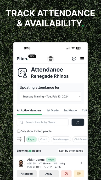 Pitch. screenshot-5