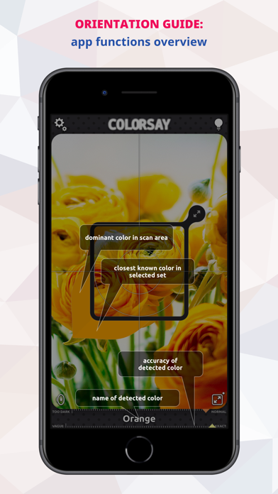 ColorSay • Color Scanner app screenshot 4 by White Marten GmbH - appdatabase.net