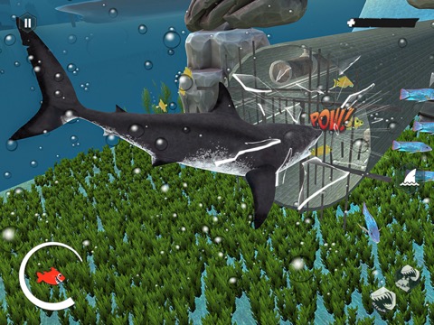 怒っている メガロドン サメ 魚のおすすめ画像5